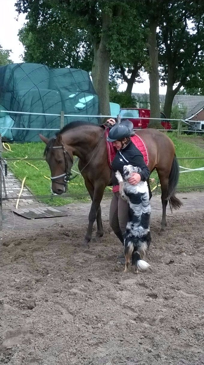 Ayla met mij en onze zelfgefokte PRE Estrella's Gaia Manchego II x Roquera 1 (verkocht)